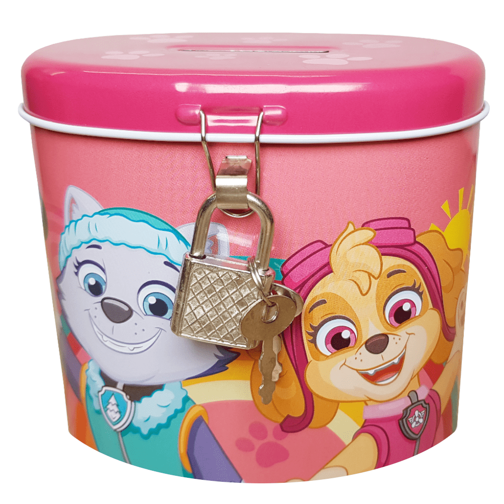 Paw Patrol Spardose Rosa Mädchen Kinder Skye Everest Geschenk Sparbüchse